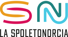 logo SN